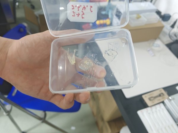 配资行情最新消 口腔内创口愈合难？复旦团队医工结合新成果，嚼一嚼让伤口好得更快